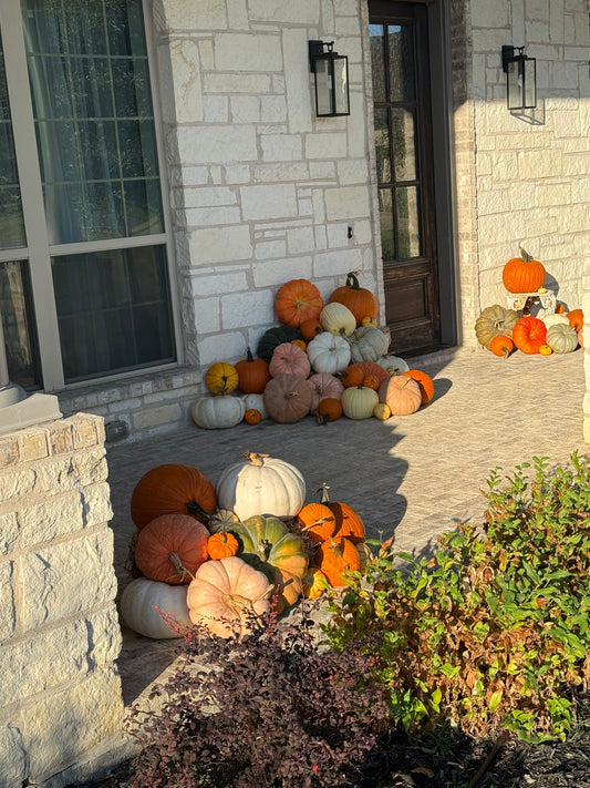 Pumpkin Perfection