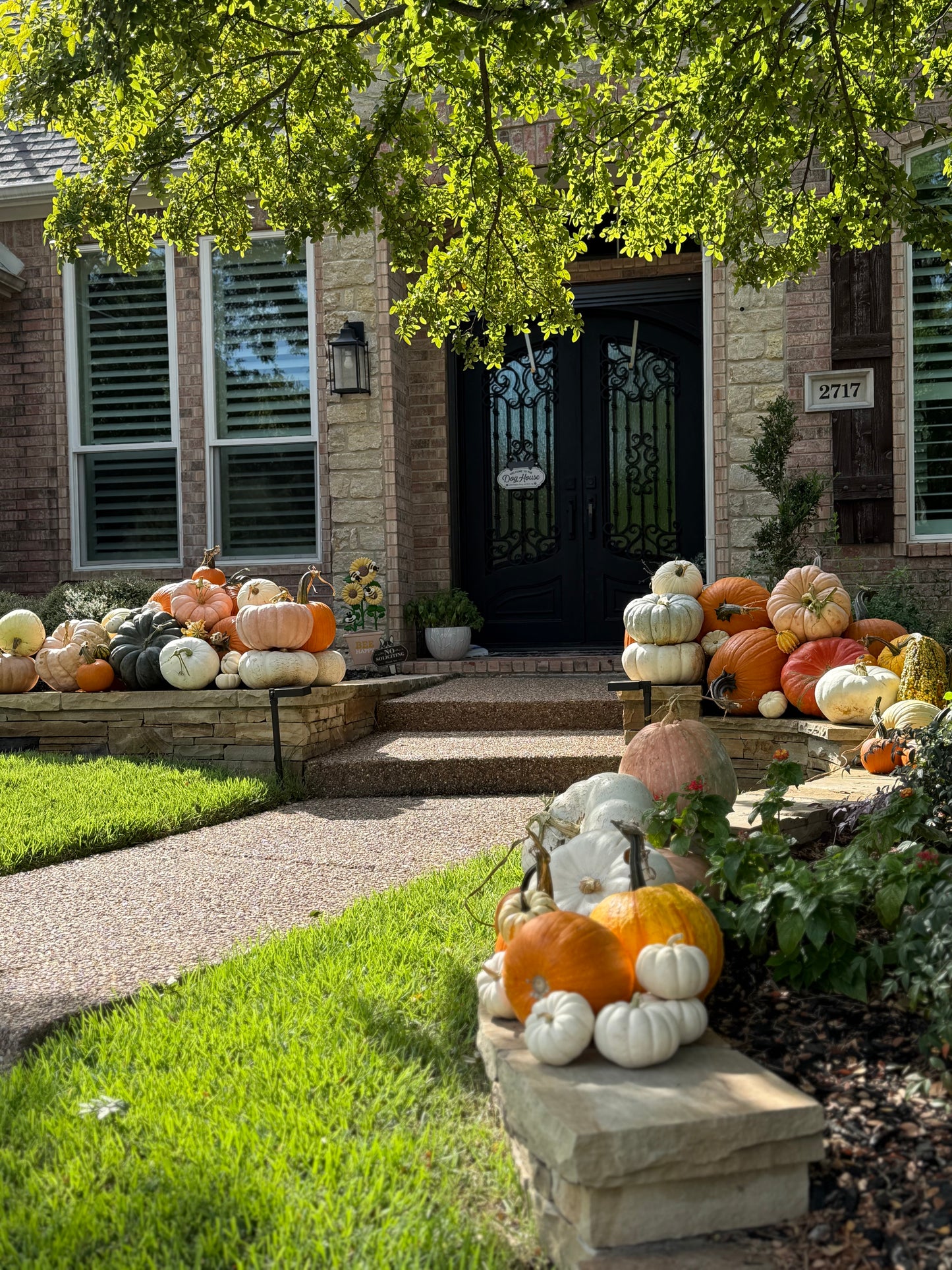 Pumpkin Perfection