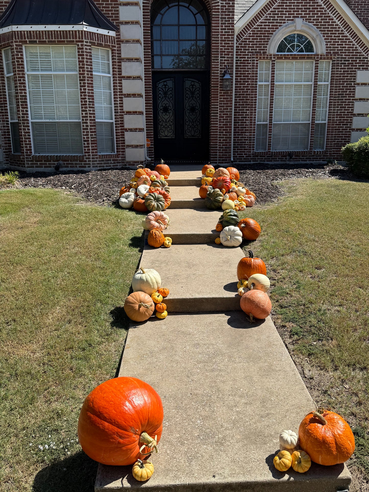 Touch of Pumpkin