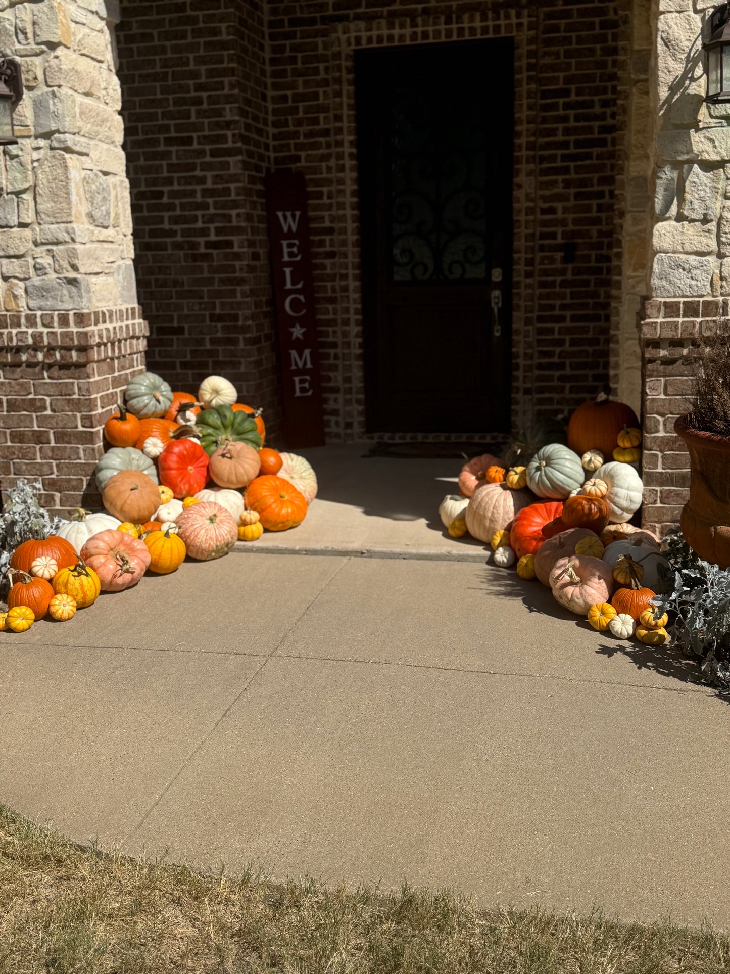Pumpkin Perfection