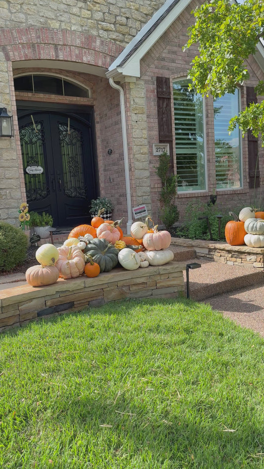Pumpkin Perfection